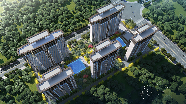 旭阳・热带森林（徐闻）